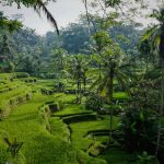 Overtourism di Bali Dampak, Penyebab, dan Solusi