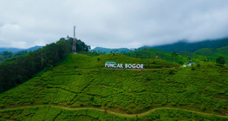 Liburan di Puncak Bogor 13 Destinasi Keluarga Wajib Dicoba