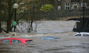 Longsor, Angin Kencang, dan Banjir di Kabupaten Bogor