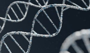 Viral Hasil Tes DNA Ridwan Kamil, Begini Fakta Terbarunya