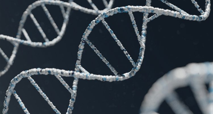 Viral Hasil Tes DNA Ridwan Kamil, Begini Fakta Terbarunya