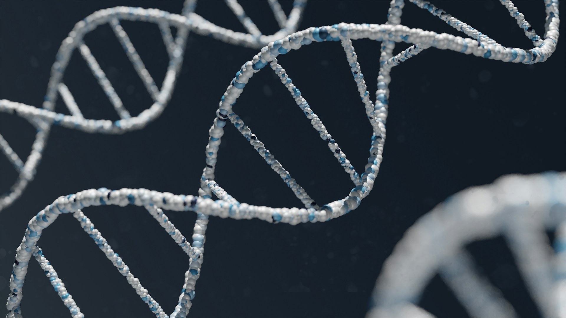 Viral Hasil Tes DNA Ridwan Kamil, Begini Fakta Terbarunya