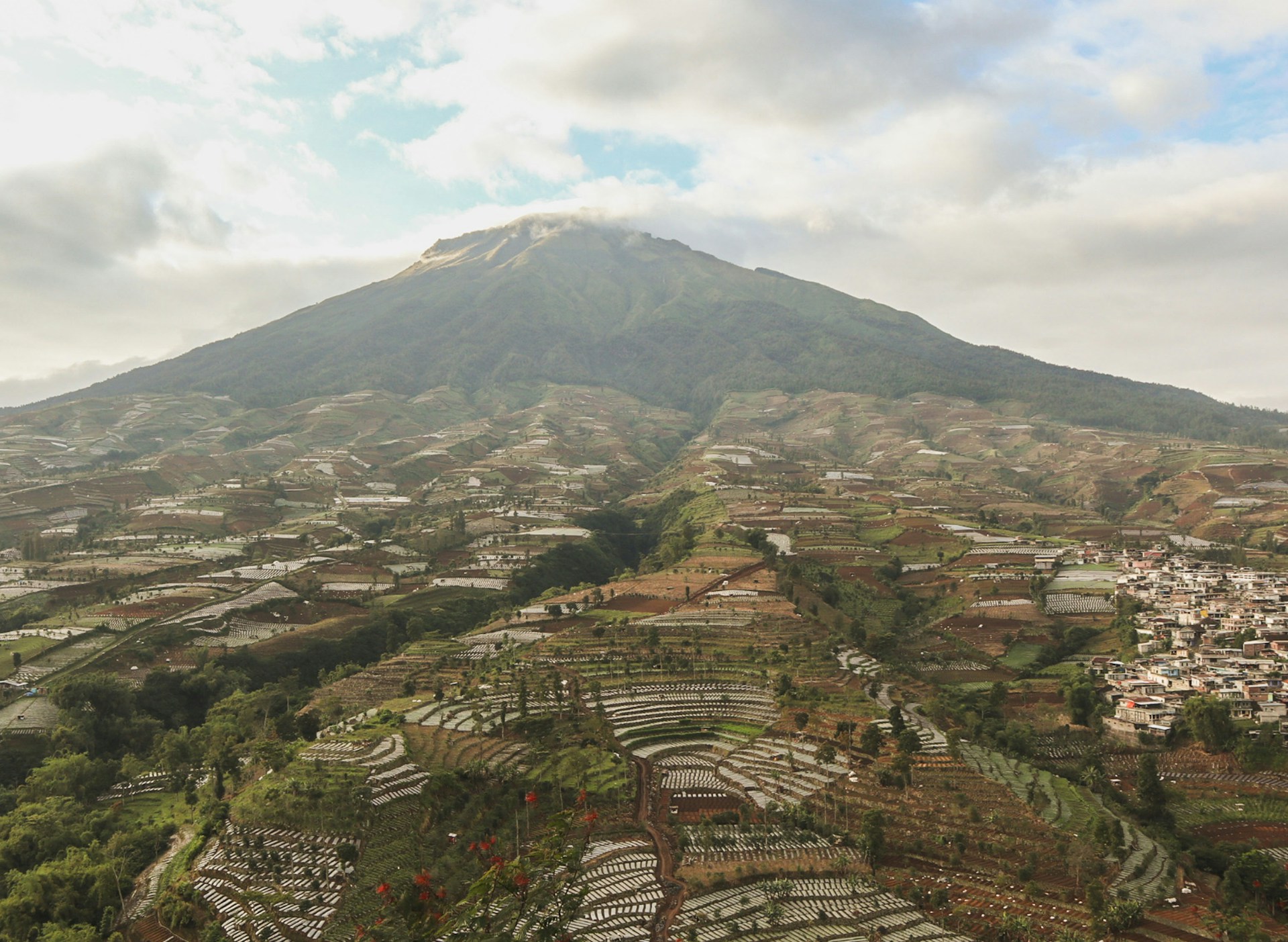 Letusan Dahsyat Gunung Lewotobi Guncang Flores Timur