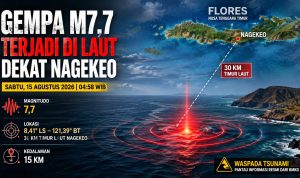 Waspada Tsunami! Gempa M7,7 Guncang NTT Pagi Ini