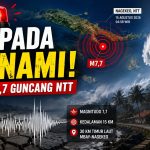 Waspada Tsunami! Gempa M7,7 Guncang NTT Pagi Ini
