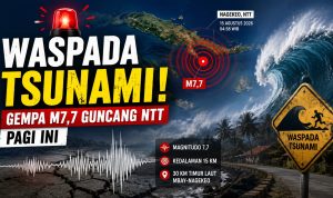 Waspada Tsunami! Gempa M7,7 Guncang NTT Pagi Ini